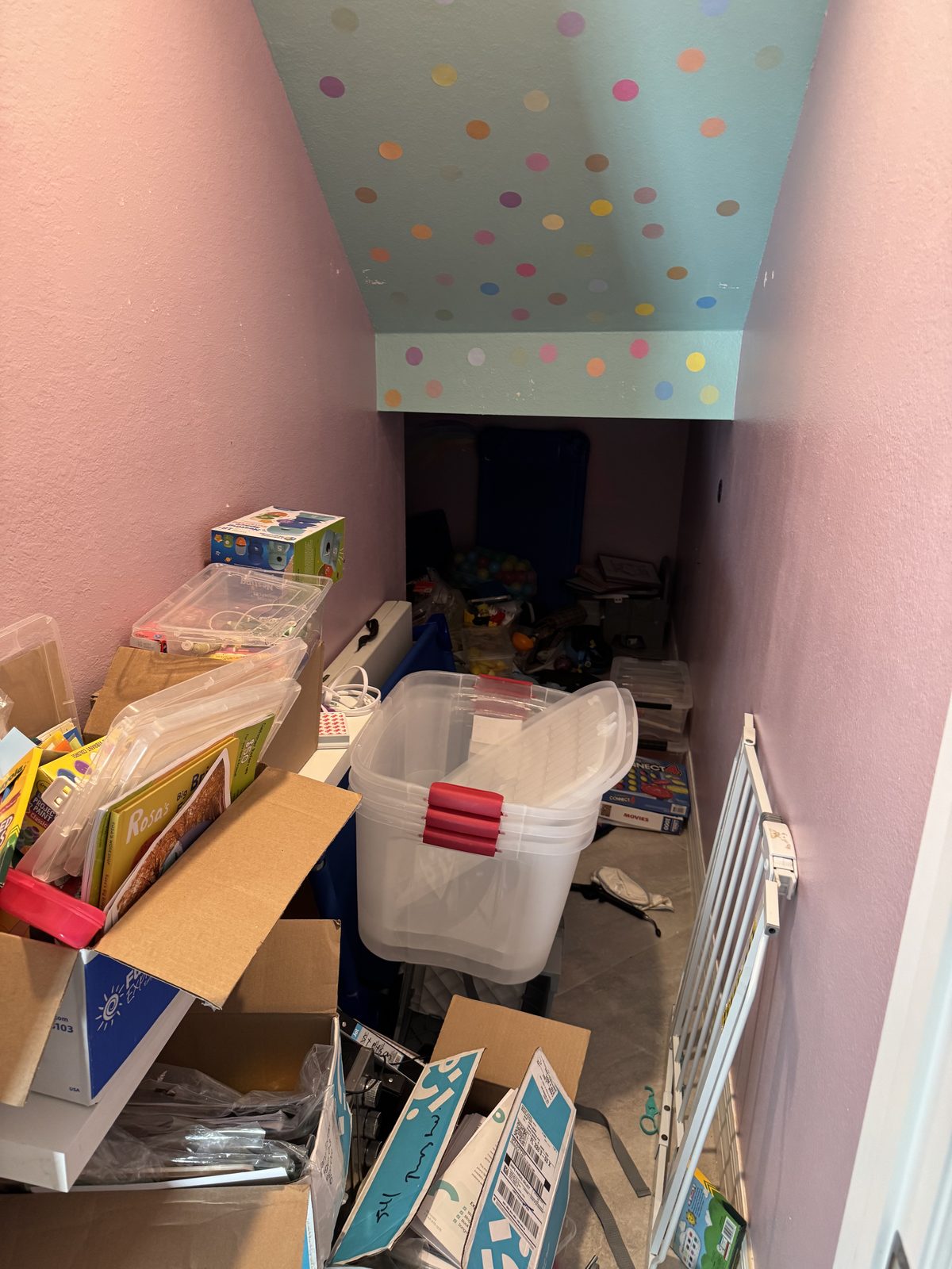 Before Closet System — Organized Oasis Babcock Ranch FL